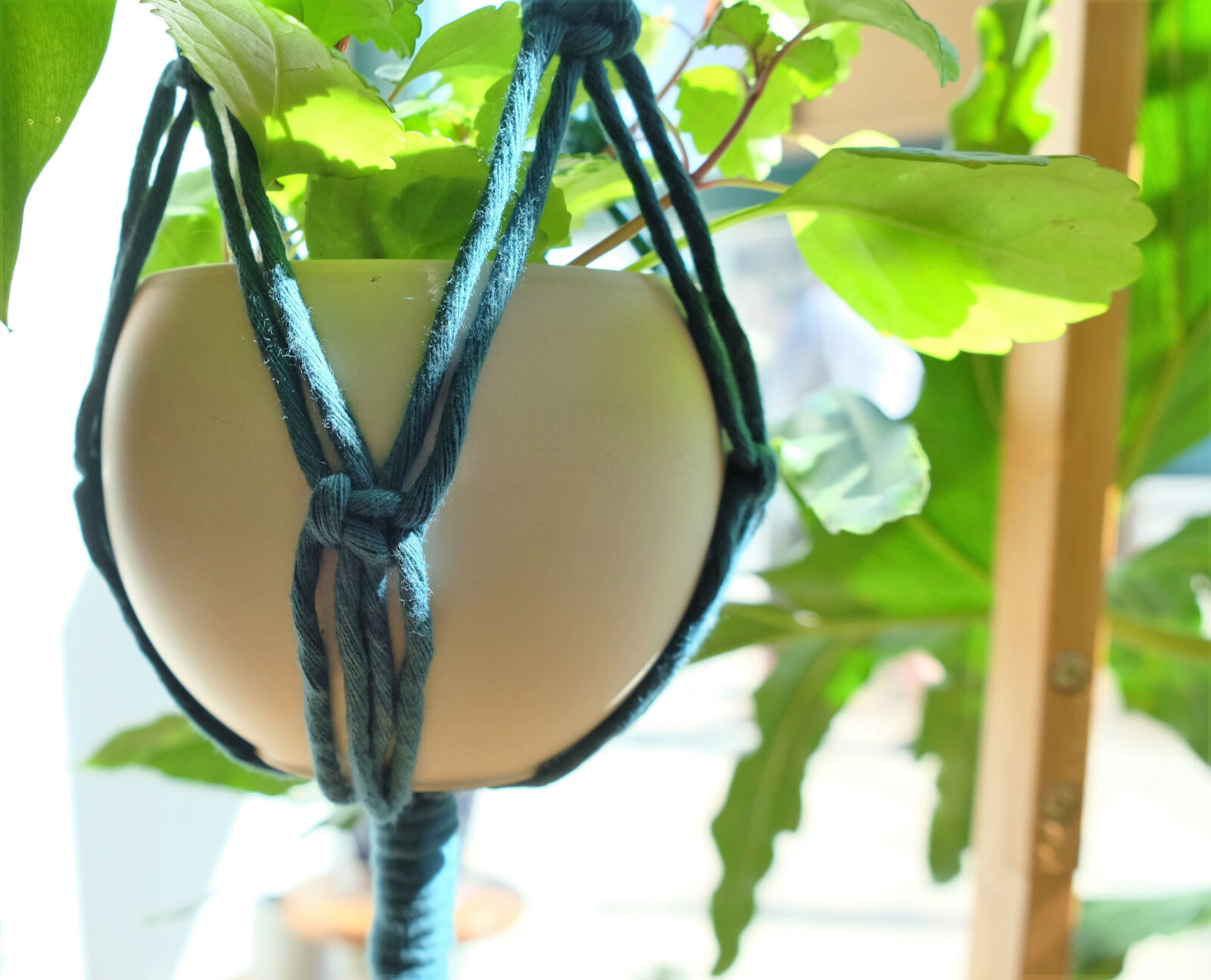 050921_owh-spe-ilo-macrame-p3.JPG